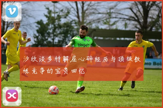 沙欣谈多特解雇心碎经历与顶级教练竞争的宝贵回忆